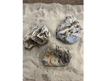 A Steenbundel Kowloon Rock 3 stuks