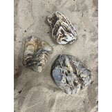 A Steenbundel Kowloon Rock 3 stuks