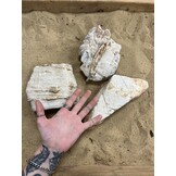 A Steenbundel Grand Canyon wit 3 stuks