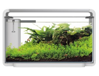 Home ProLED 30 Aquarium Wit