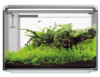 Home ProLED 65 Aquarium Wit