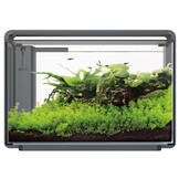 Home ProLED 65 Aquarium Zwart
