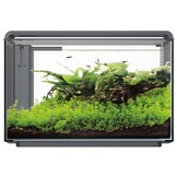 Home ProLED 85 Aquarium Zwart
