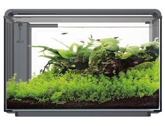 Home ProLED 85 Aquarium Zwart