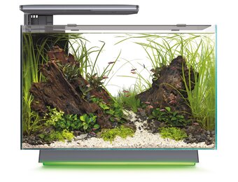 Quadro 70 Multi Colour Zwart