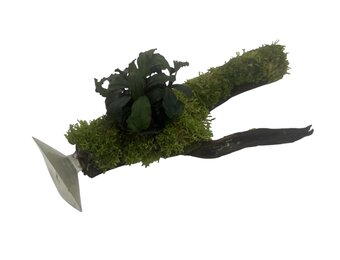 Driftwood met Beplanting op Zuignap NR1