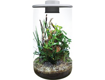 Bio Art Cylinder 285 Wit