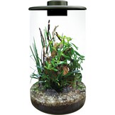 Bio Art Cylinder 285 Zwart