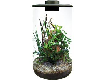 Bio Art Cylinder 285 Zwart