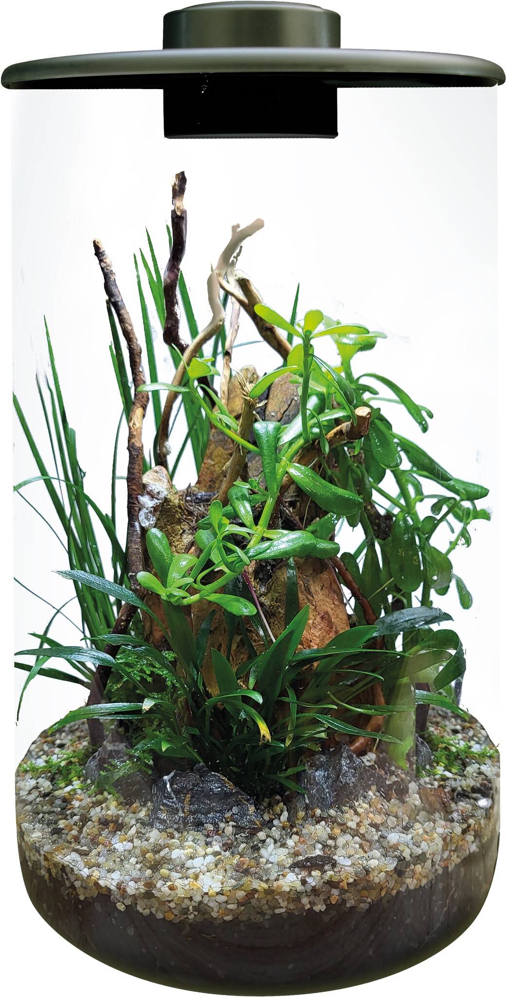 Bio Art Cylinder 285 Zwart