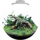 Bio Art Bowl 225 Wit