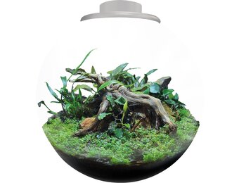 Bio Art Bowl 225 Wit