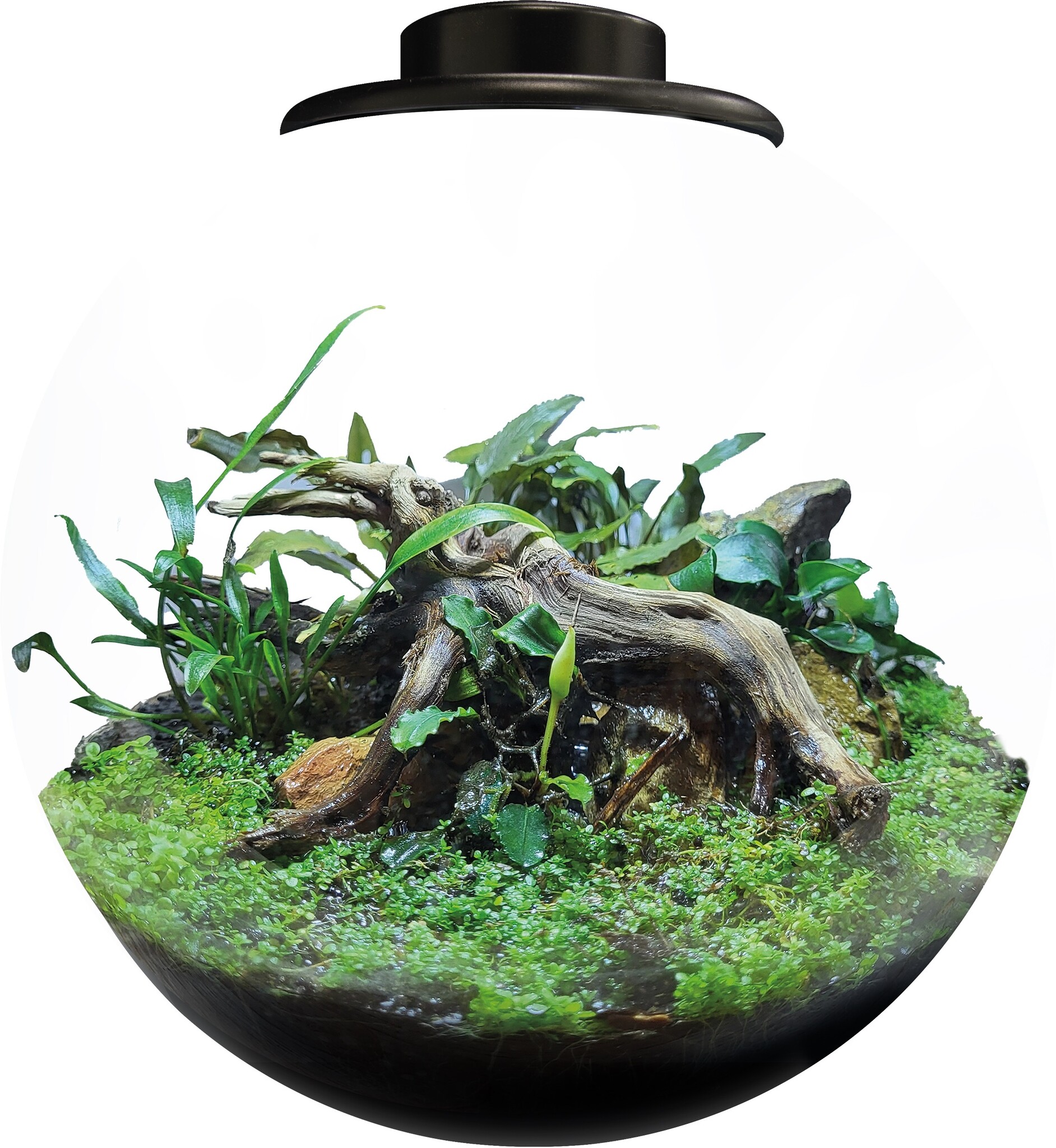 Bio Art Bowl 225 Zwart
