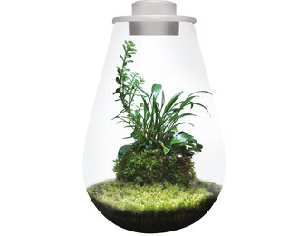 Bio Art Drop 285 Wit