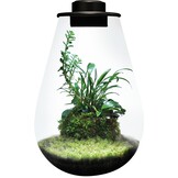 Bio Art Drop 285 Zwart