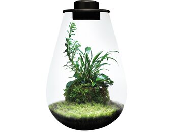 Bio Art Drop 285 Zwart