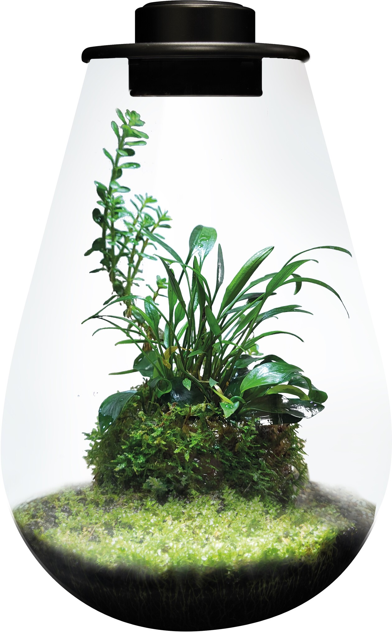 Bio Art Drop 285 Zwart
