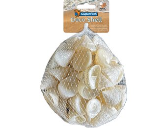 deco schelp spiraal wit