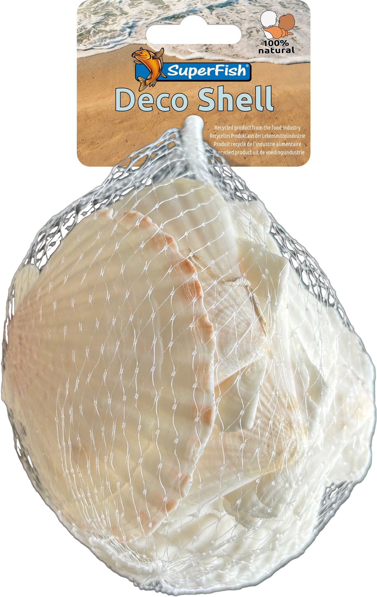 deco schelp coquille wit