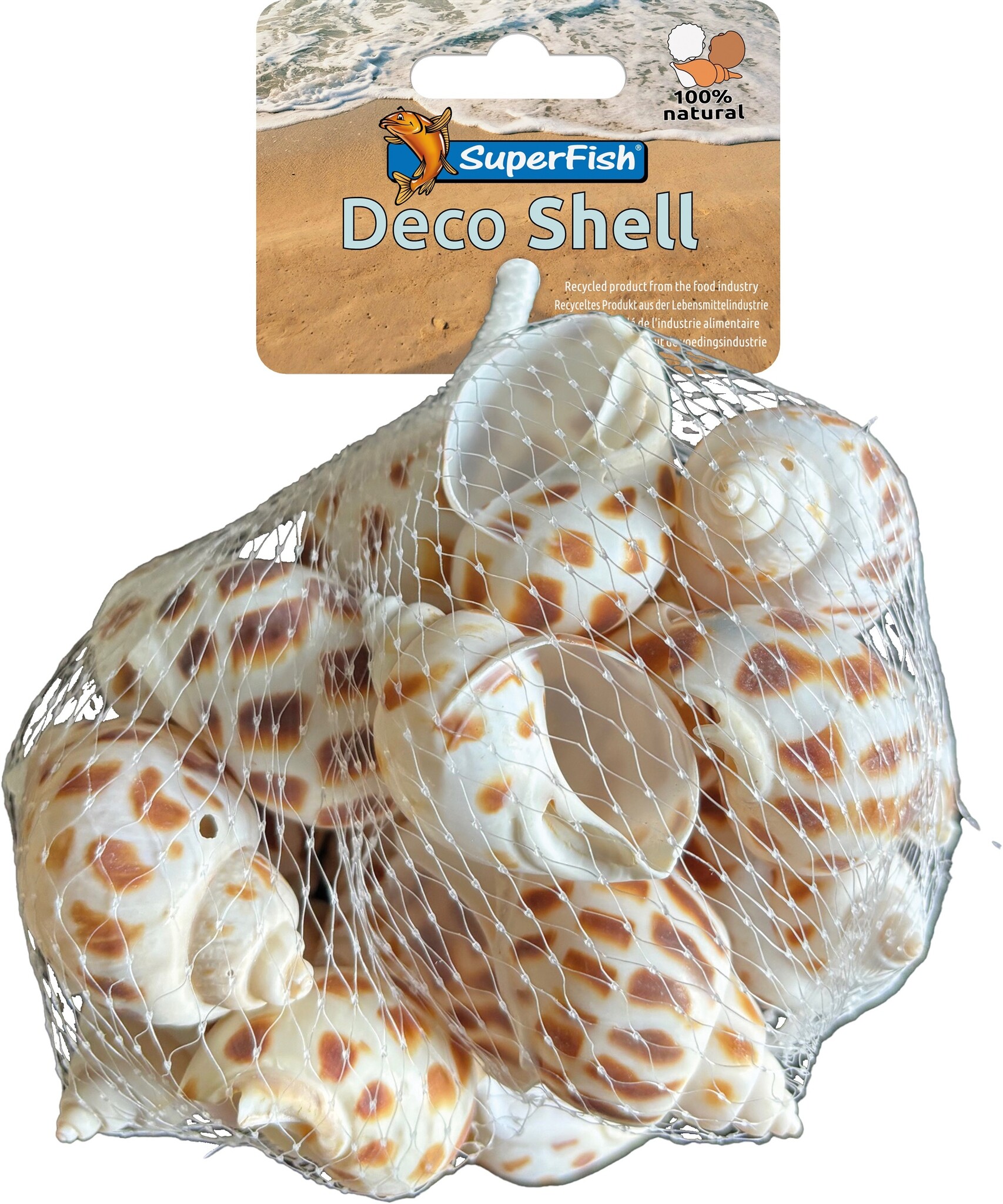 deco schelp spiraal gestreept