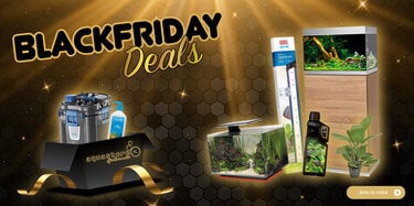 Diverse Black Friday Deals!