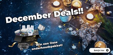 Diverse December DEALS!