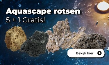 Aquascape rotsen 5+1 Gratis!