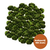 Mosbol Chladoflora M 3-4cm  Bulkpartij 100 stuks