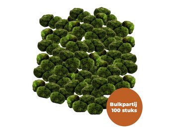 Mosbol Chladoflora M 3-4cm  Bulkpartij 100 stuks