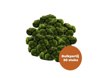 Mosbol Chladoflora M 3-4cm Bulkpartij 50 stuks