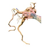 Boomstronk XXL 70 - 100 cm 1,75kg - NR17