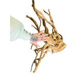 Boomstronk XXL 70 - 100 cm 2,75kg - NR18