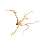 Boomstronk XXL 70 - 100 cm 0,9kg - NR19