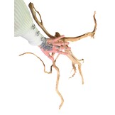 Boomstronk XXL 70 - 100 cm 0,9kg - NR19