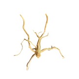 Boomstronk XXL 70 - 100 cm 0,9kg - NR19