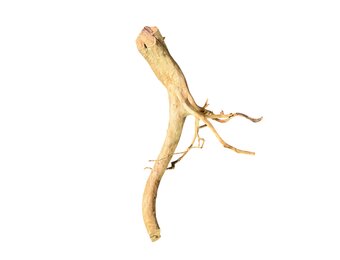 Boomstronk XXL 50 - 80 cm 1,35kg - NR20