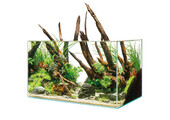 ScaperLine 60 Aquarium