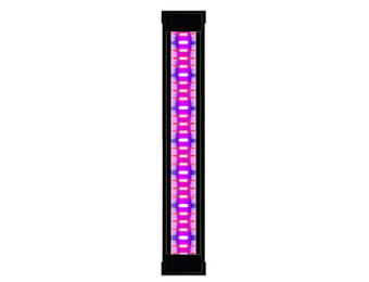 LED Plants Emotions CLE 40 Zwart