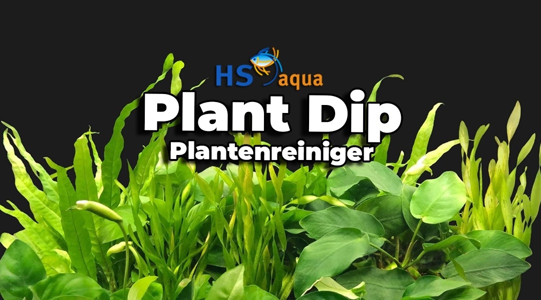 HS AQUA Plant Dip!