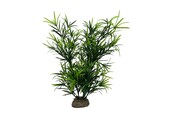 Plant Hydrilla 27cm