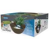 Mini Pond Bruin