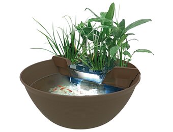 Mini Pond Bruin