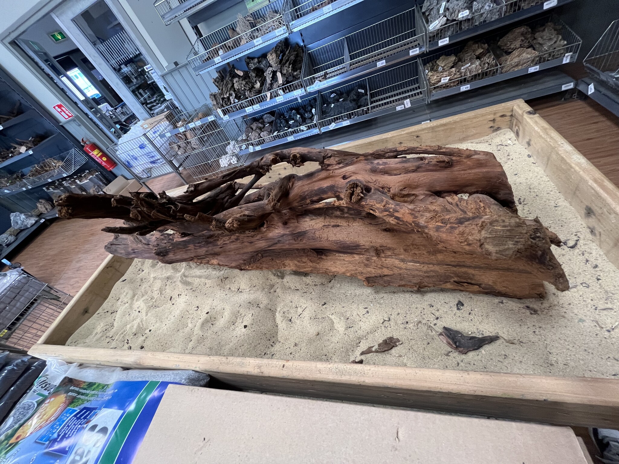 Selected Mangrovehout XL A 70-90cm