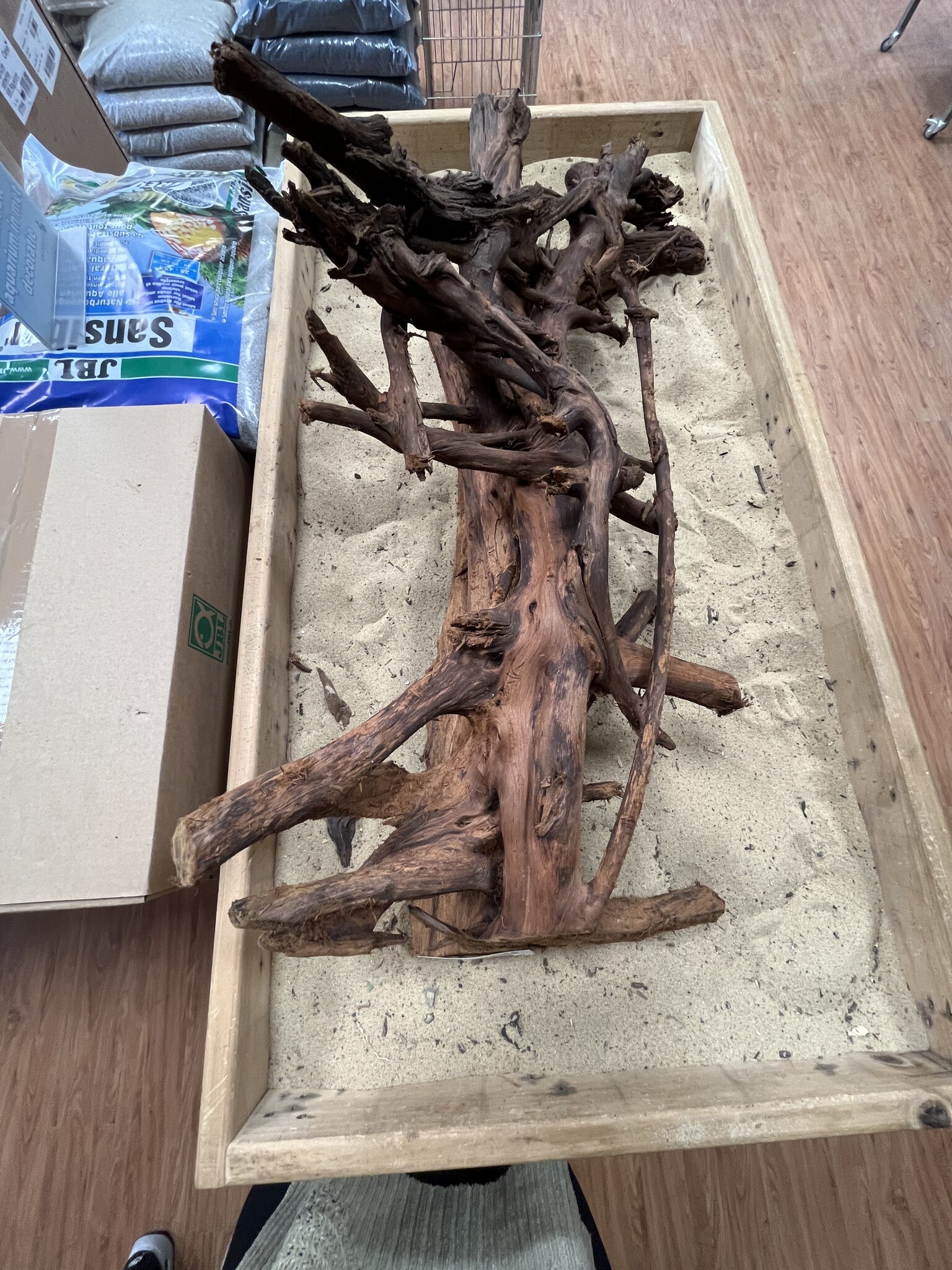 Selected Mangrovehout XL A 70-90cm