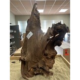 Selected Mangrovehout XL B 70-90cm