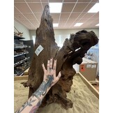 Selected Mangrovehout XL B 70-90cm