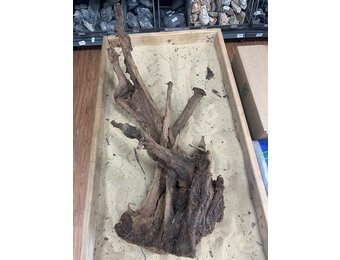 Selected Mangrovehout XL C 70-90cm