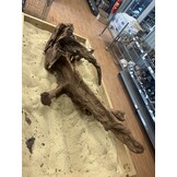 Selected Mangrovehout XL C 70-90cm