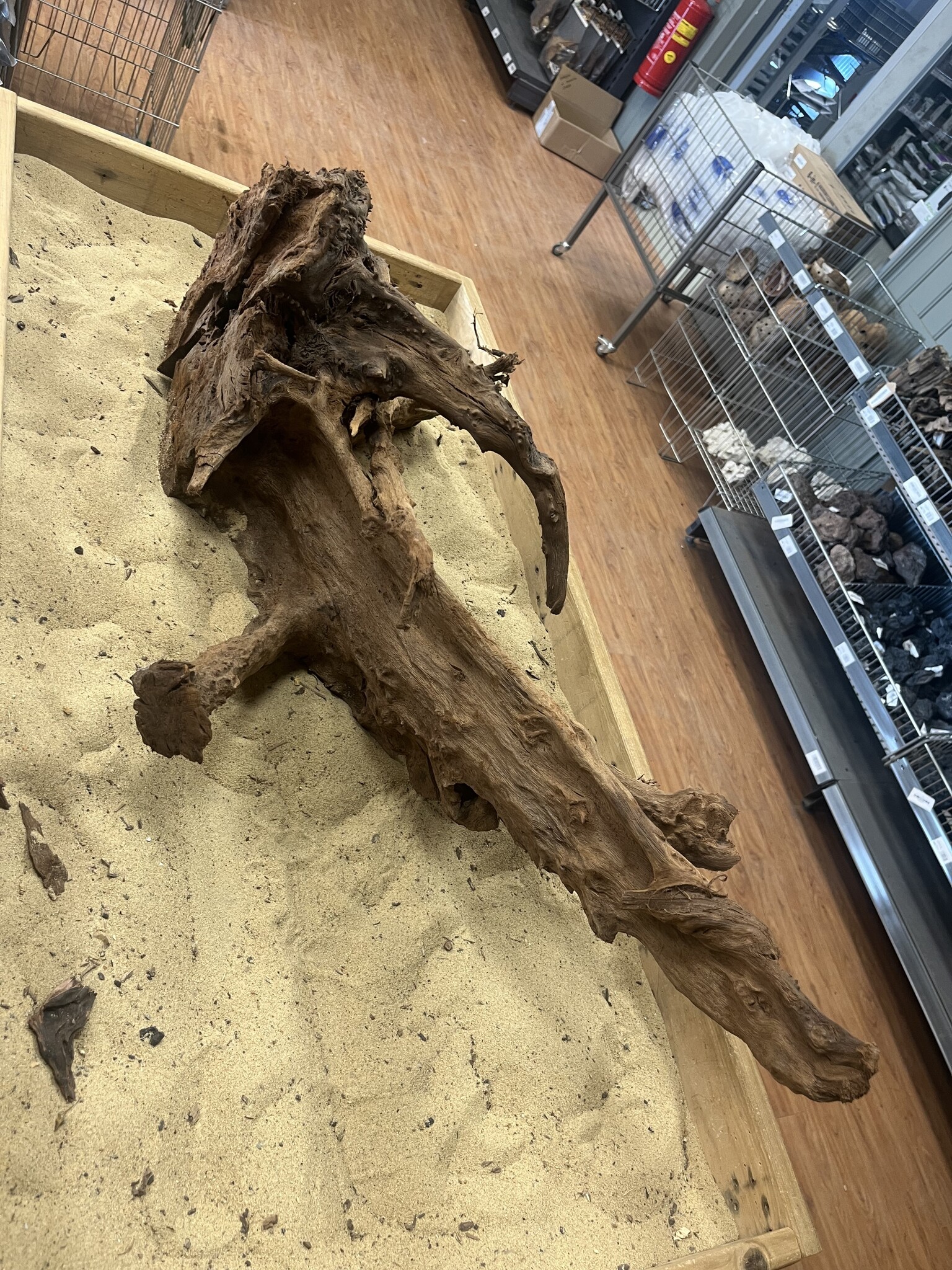 Selected Mangrovehout XL C 70-90cm