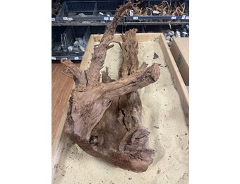 Selected Mangrovehout XL D 70-90cm